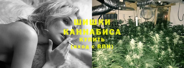 ГАЛЛЮЦИНОГЕННЫЕ ГРИБЫ Баксан
