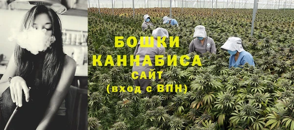 ГАЛЛЮЦИНОГЕННЫЕ ГРИБЫ Баксан