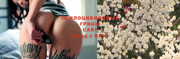 ГАЛЛЮЦИНОГЕННЫЕ ГРИБЫ Баксан