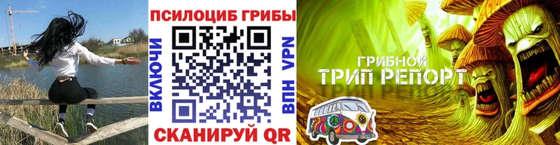 OMG ONION  Краснокамск  Галлюциногенные грибы прущие грибы 